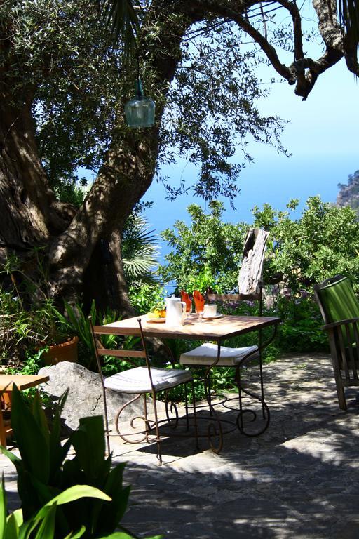 Sa Plana Petit Hotel Estellencs  Buitenkant foto