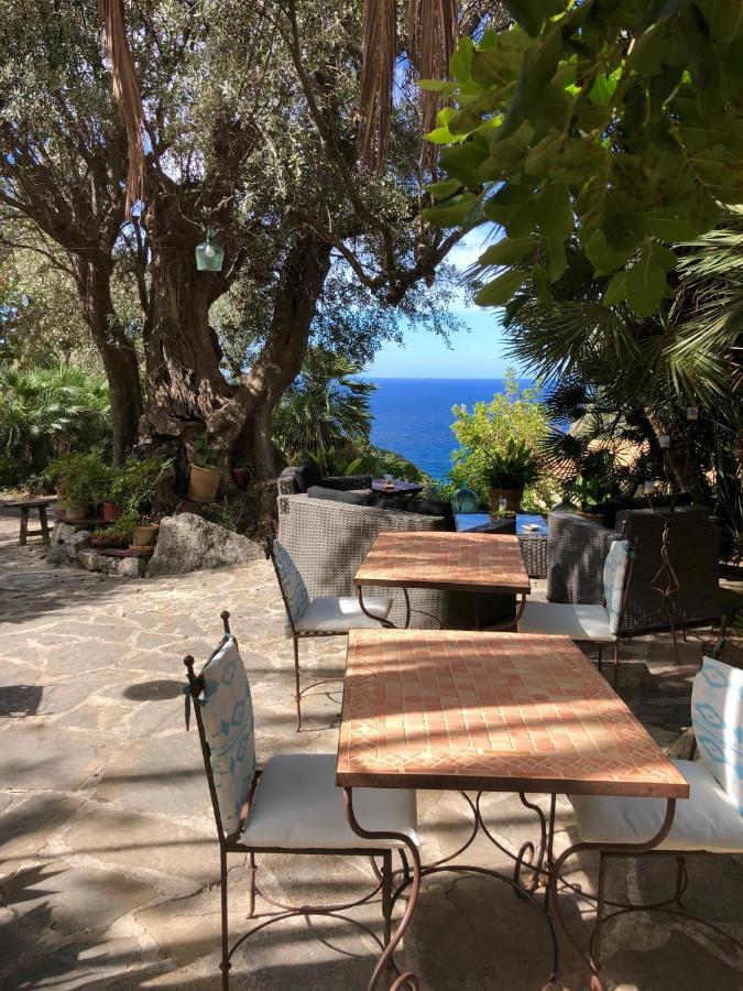 Sa Plana Petit Hotel Estellencs  Buitenkant foto