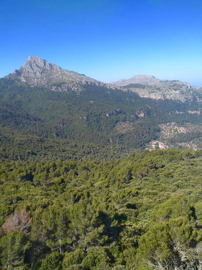 Sa Plana Petit Hotel Estellencs  Buitenkant foto