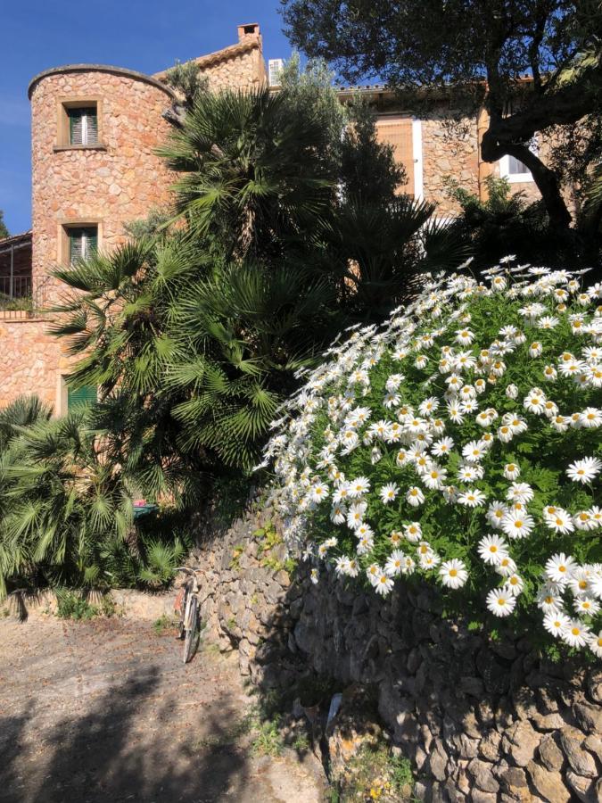 Sa Plana Petit Hotel Estellencs  Buitenkant foto